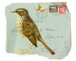 Redwing giclee art print