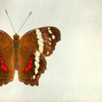 Rusty giclee art print