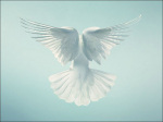 Spirit art print