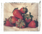Strawberries giclee art print