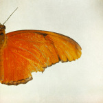 Summer Flyer giclee art print