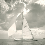 Sunlit Sails I art print