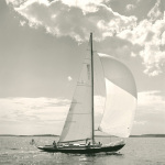 Sunlit Sails II art print
