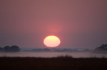 Sunrise, Busanga Plains, Kafue National Park, Zambia giclee art print