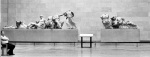 The Elgin Marbles British Museum 1989 giclee art print