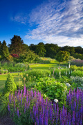 The Main Borders at Harlow Carr giclee art print