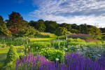 The Main Borders at Harlow Carr giclee art print