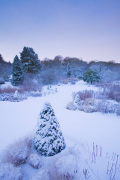 The Main Borders in Winter at RHS Garden Harlow Carr, Yorkshire. giclee art print