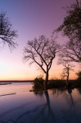 The River Club lodge, sunset on Zambesi River, Zambia giclee art print