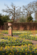 The Walled Garden Wisley in Spring giclee art print