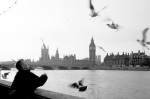 The gull feeder, River Thames giclee art print