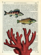 Two Fish with Coral giclee art print