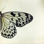 Two Tone giclee art print