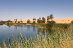 Umm El Ma lake, Erg Awbari, Sahara desert, Fezzan, Libya giclee art print