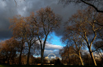 View from Pall Mall London giclee art print