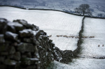 Wensleydale in the snow 2009 giclee art print