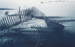 Richard Calvo art print