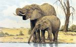 Charles L. Berry art print