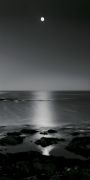 Stephen Rutherford-Bate art print