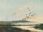 Wilfred Bailey art print