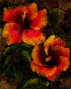 John Seba art print