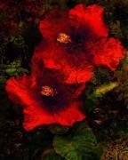 John Seba art print