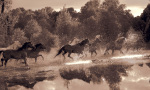 Robert Dawson art print