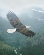 Terry Isaac art print