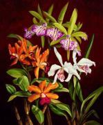Rodolfo Jimenez art print