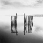 Richard Calvo art print