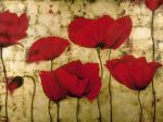 Dana Del Castillo art print