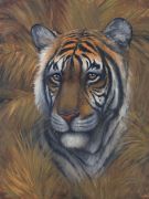 Sambataro art print