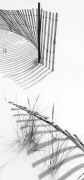 Richard Calvo art print