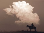 Robert Dawson art print