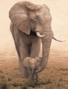 W. Michael Frye art print