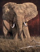 W. Michael Frye art print