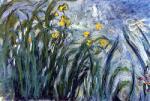 Claude Monet art print