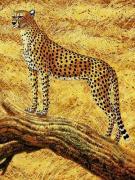 Carriere art print