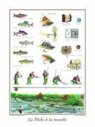 Sport Collection art print