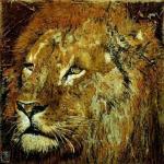 Fabienne Arietti art print