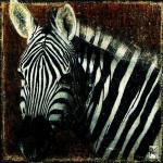 Fabienne Arietti art print