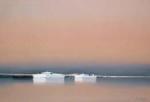 Pierre Doutreleau art print