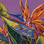 Sally Evans art print