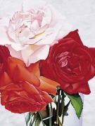 Annie Bardoulat art print