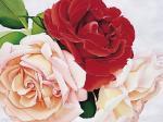 Annie Bardoulat art print