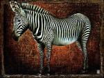 Fabienne Arietti art print
