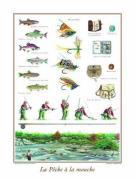 Sport Collection art print