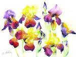 Marc Folly art print