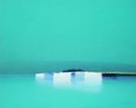 Pierre Doutreleau art print