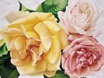 Annie Bardoulat art print